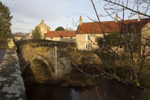 _helmsley 3.jpg
